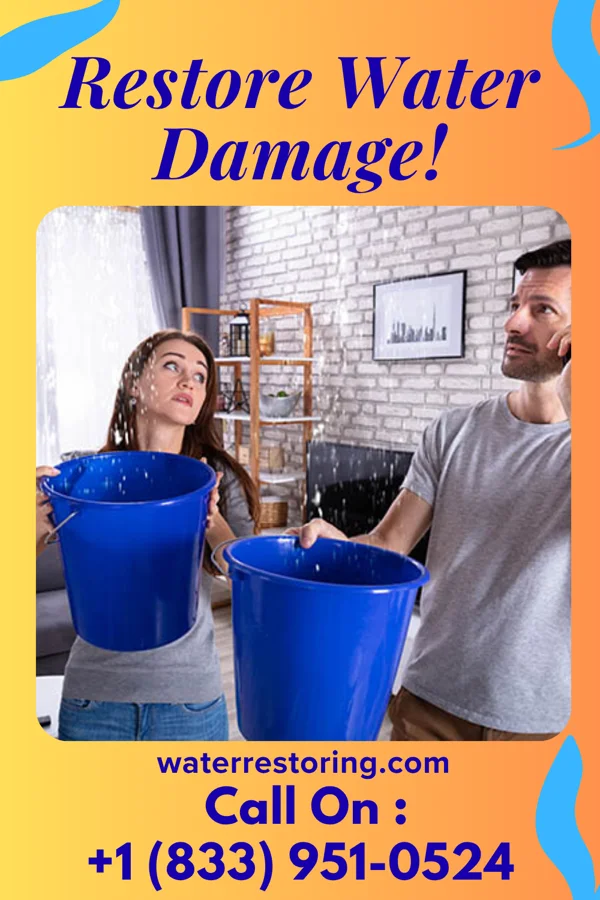 water restoration Eagle Water Removal & Associates Goldfield