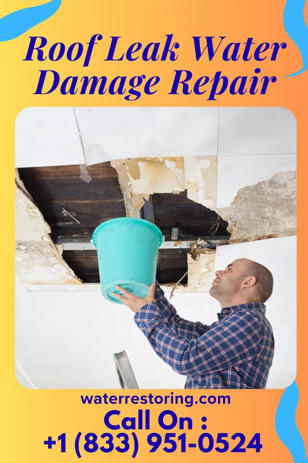 Roof Leak Water Damage Repair in Goldfield, IA